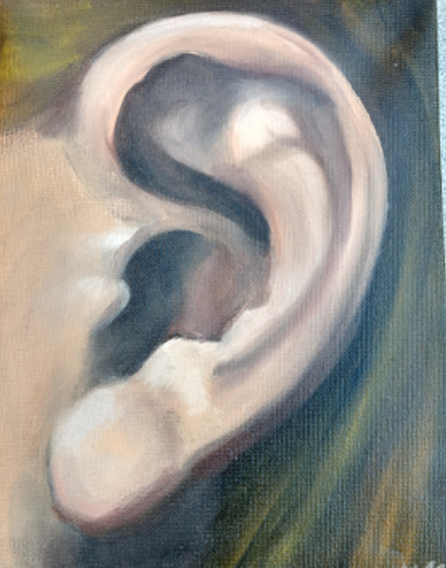 Das Ohr
